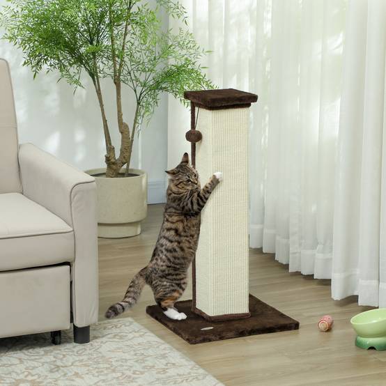 Poteau griffoir chat sisal peluche intérieur jeu aiguiser griffes 81cm marron - ComfortXL Outdoor Living - Image 4