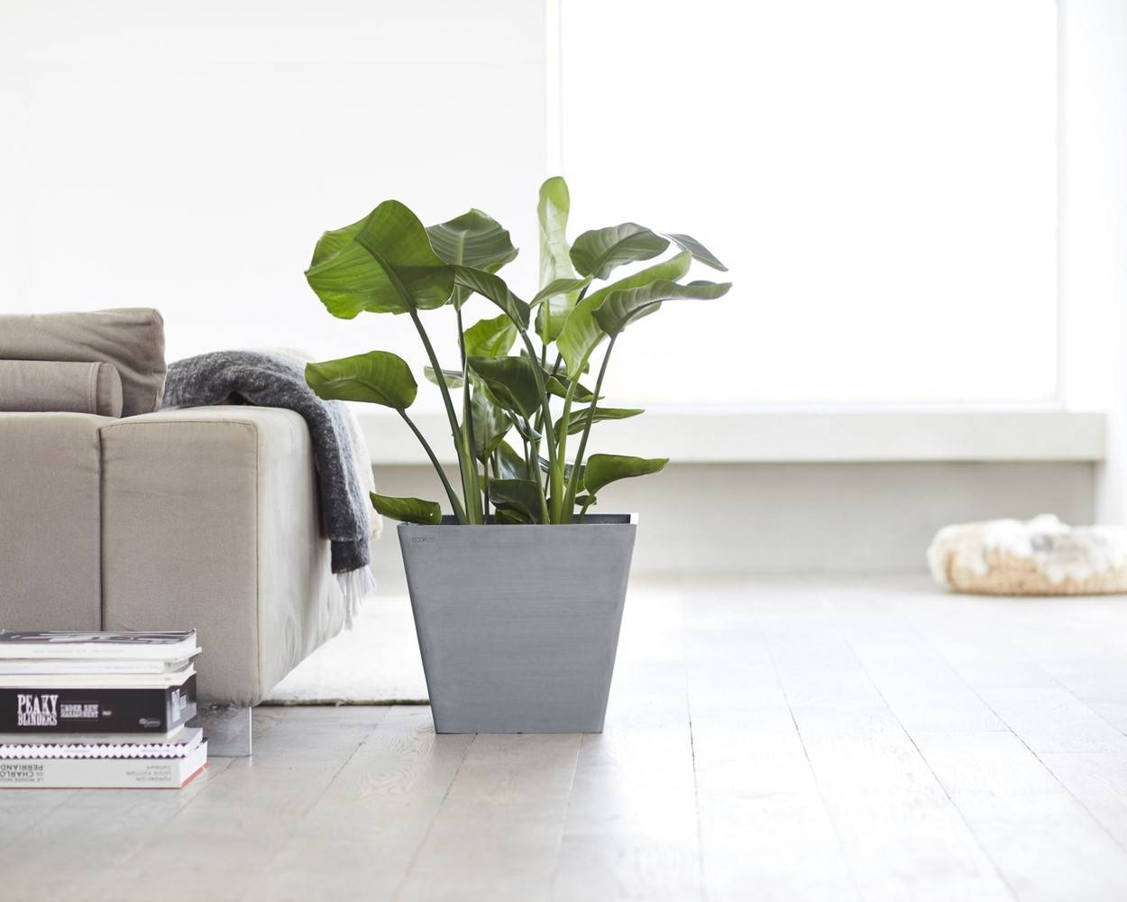 Ecopots - Pot Carré Rotterdam 40 Bleu Gris - 40 x 40 x H. 35 cm - 37,6 L ECOPOTS - Image 5