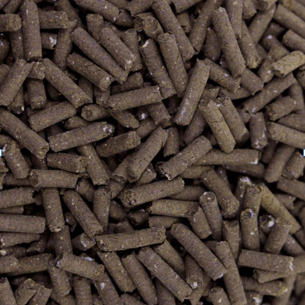 Fertilisant 100 % naturel fientes de poules 1 kg FERTIGALLI - Image 3