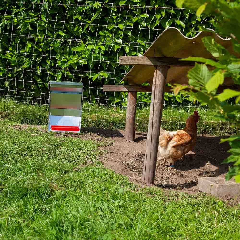 Mangeoire anti-nuisibles 6 kg pour 3 poules - Image 6