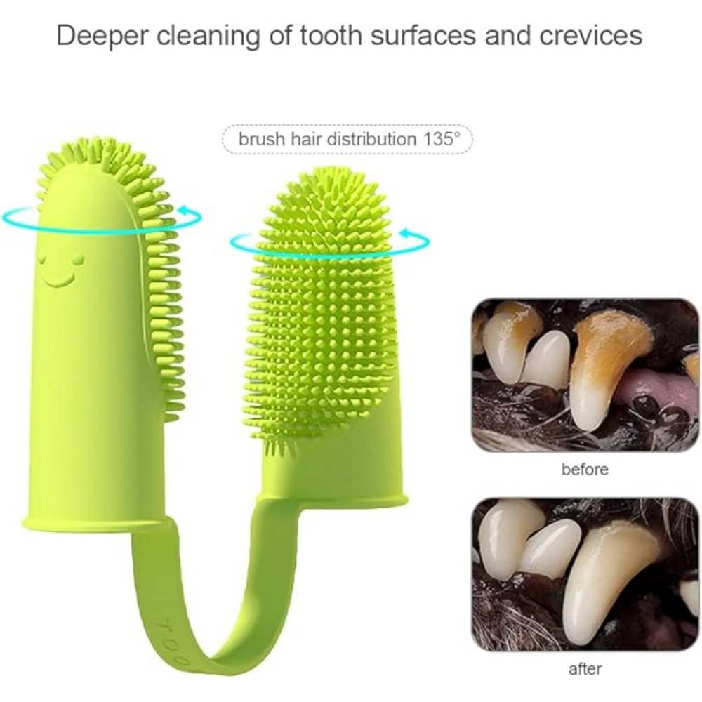 DtopbuyAge - Lot De 10 Brosse À Dents Pour Chien Et Chat DtopbuyAge - Image 4