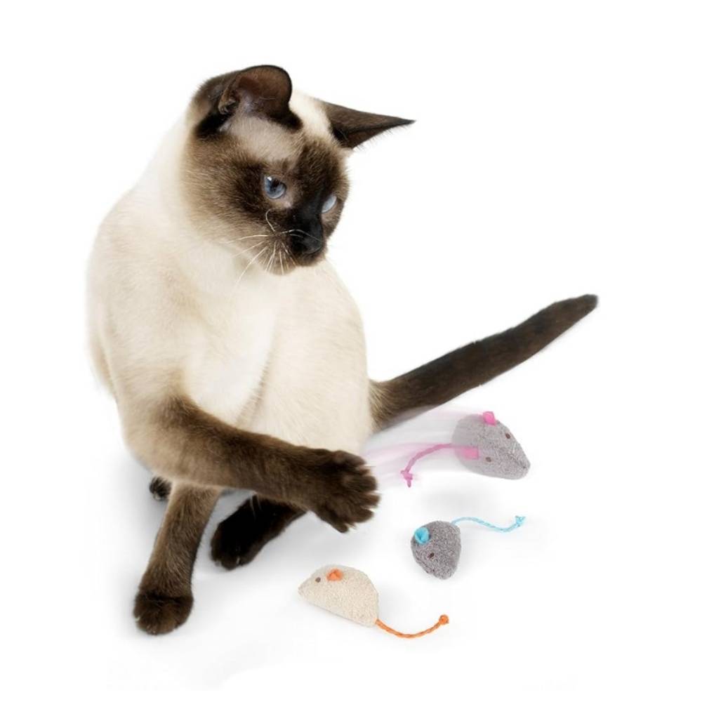 IntiMeg - Lot de 3 jouets pour chat et souris IntiMeg - Image 3