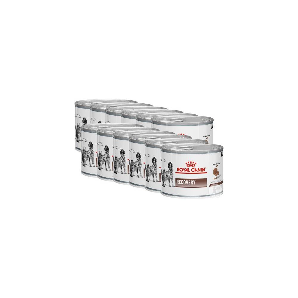 Royal Canin - Patée chat et chien VETERINARY RECOVERY (boite 195g) - Royal Canin 195 g - Image 2