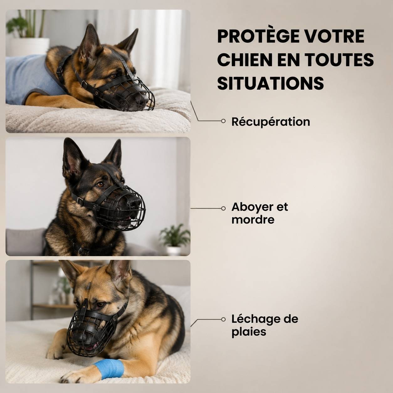 Musaillon Chien Métal Panier Réglable Cuir Léger Confortable Anti Morsure Aboiement - Image 7
