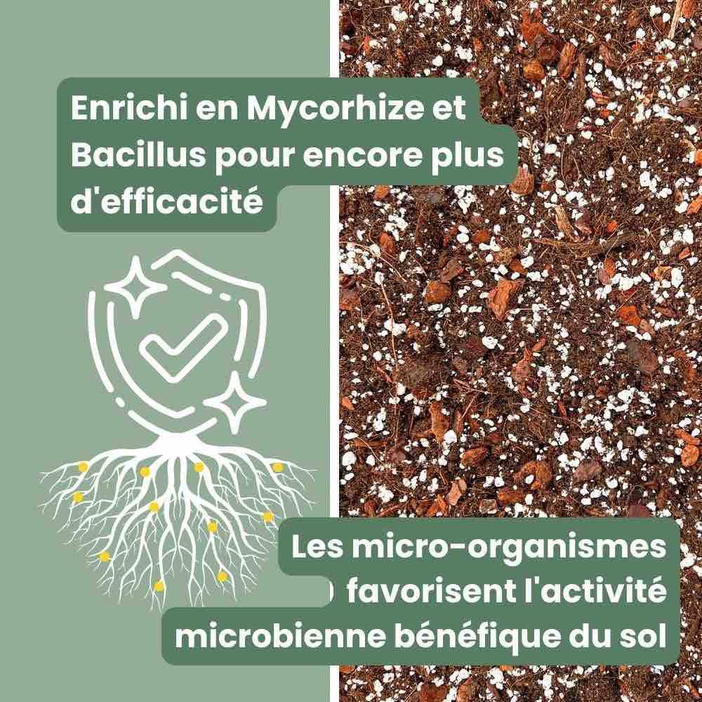 Terreau Hoya Premium - Enrichi en Mycorhize et Bacillus - Fabriqué en France - Image 2