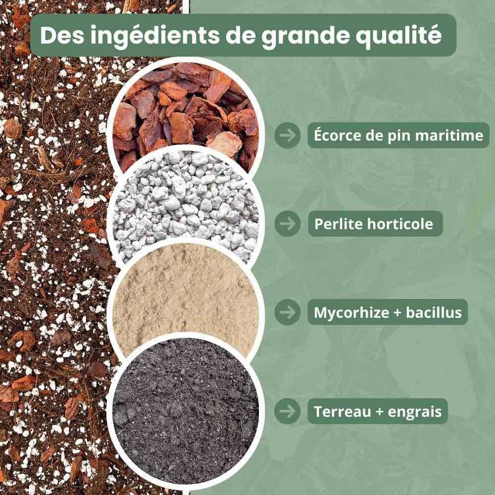 Terreau Hoya Premium - Enrichi en Mycorhize et Bacillus - Fabriqué en France - Image 5