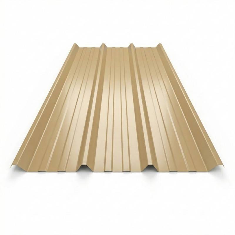 Bac acier laqué 1045 50/100 - Coloris - Beige 1015, Largeur - 105 cm, Longueur - 200 cm - Image 1