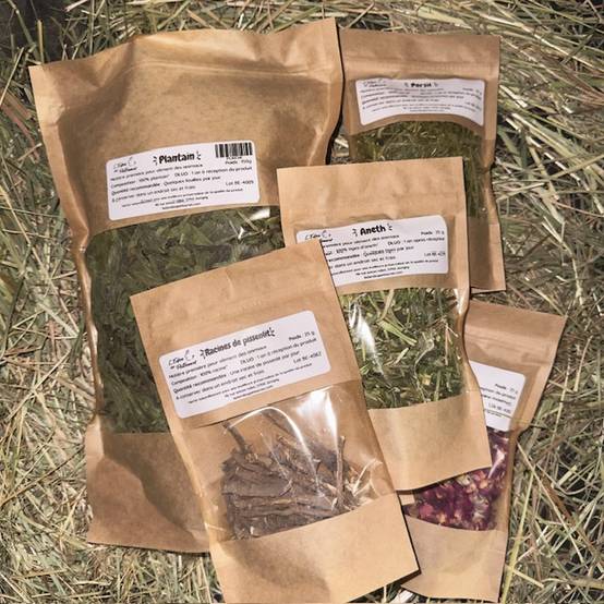 Moyen Vracky - Kit de nourriture et friandises pour lapins et rongeurs - 100% naturel - L'Eden des Pattounes