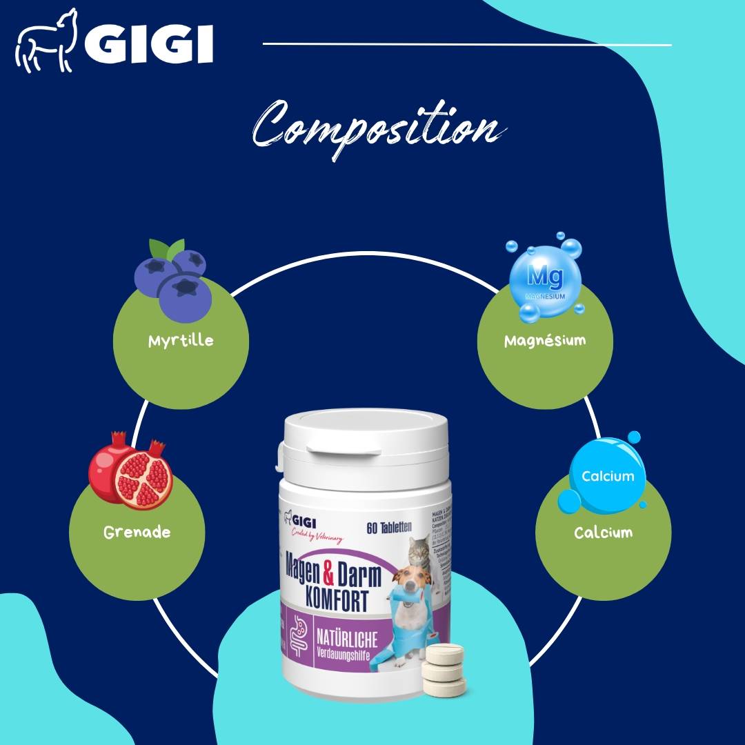 Confort Estomac & Intestin – aide efficacement en cas d’intolérances alimentaires 60 comprimés GIGI VET - Image 5