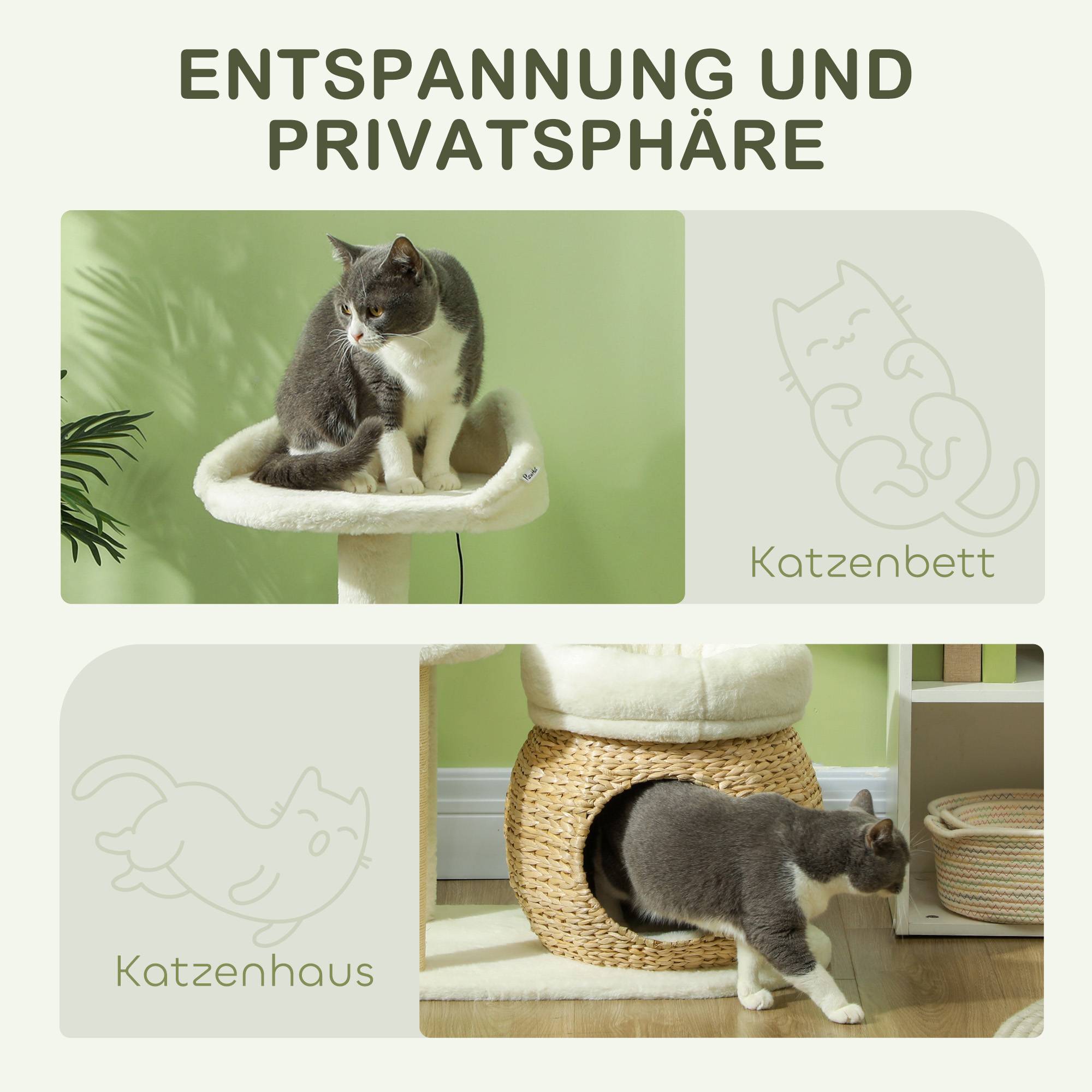 ComfortXL - Arbre à chat bois jonc chats cachette griffoir 60x40x79cm blanc - ComfortXL Outdoor Living - Image 7