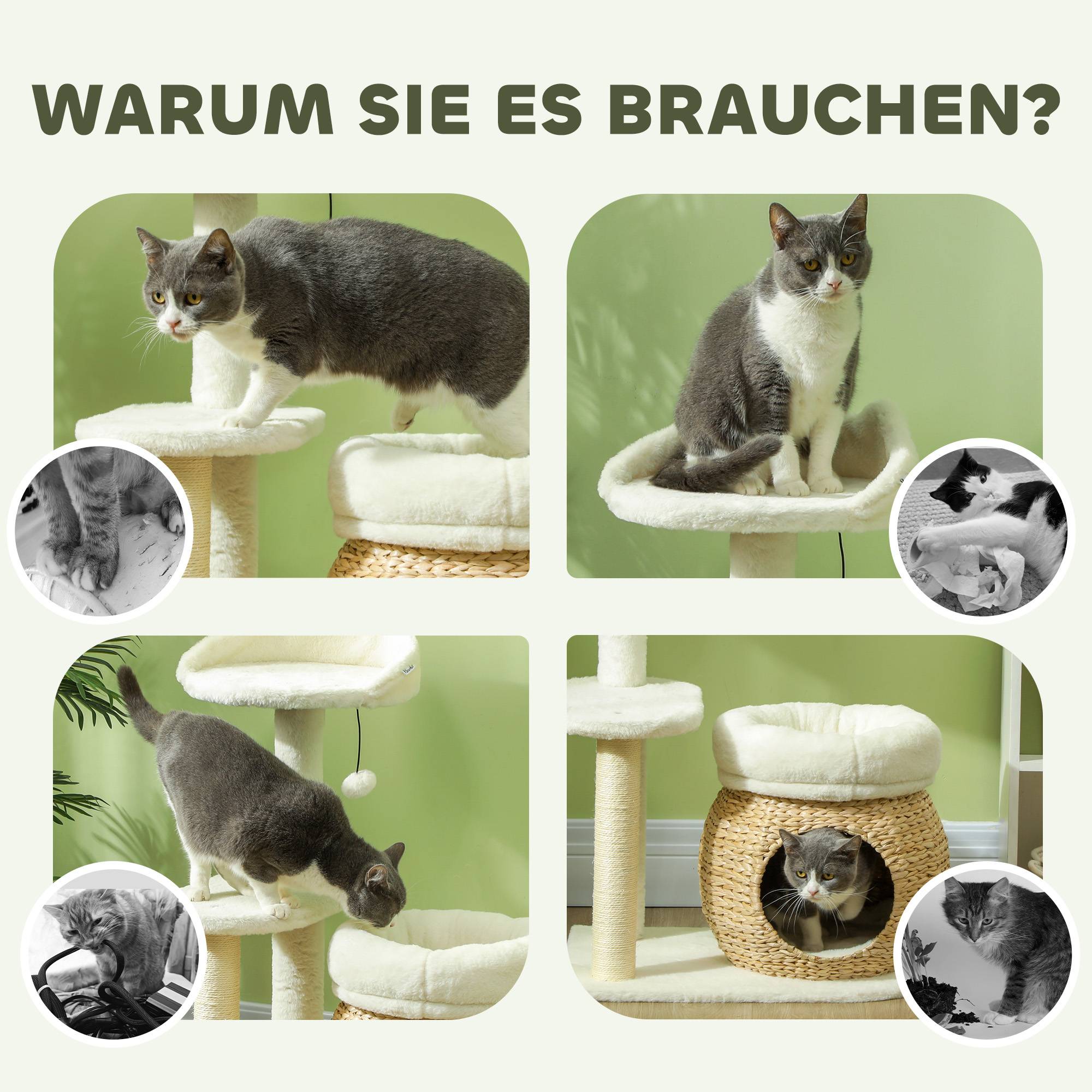 ComfortXL - Arbre à chat bois jonc chats cachette griffoir 60x40x79cm blanc - ComfortXL Outdoor Living - Image 8
