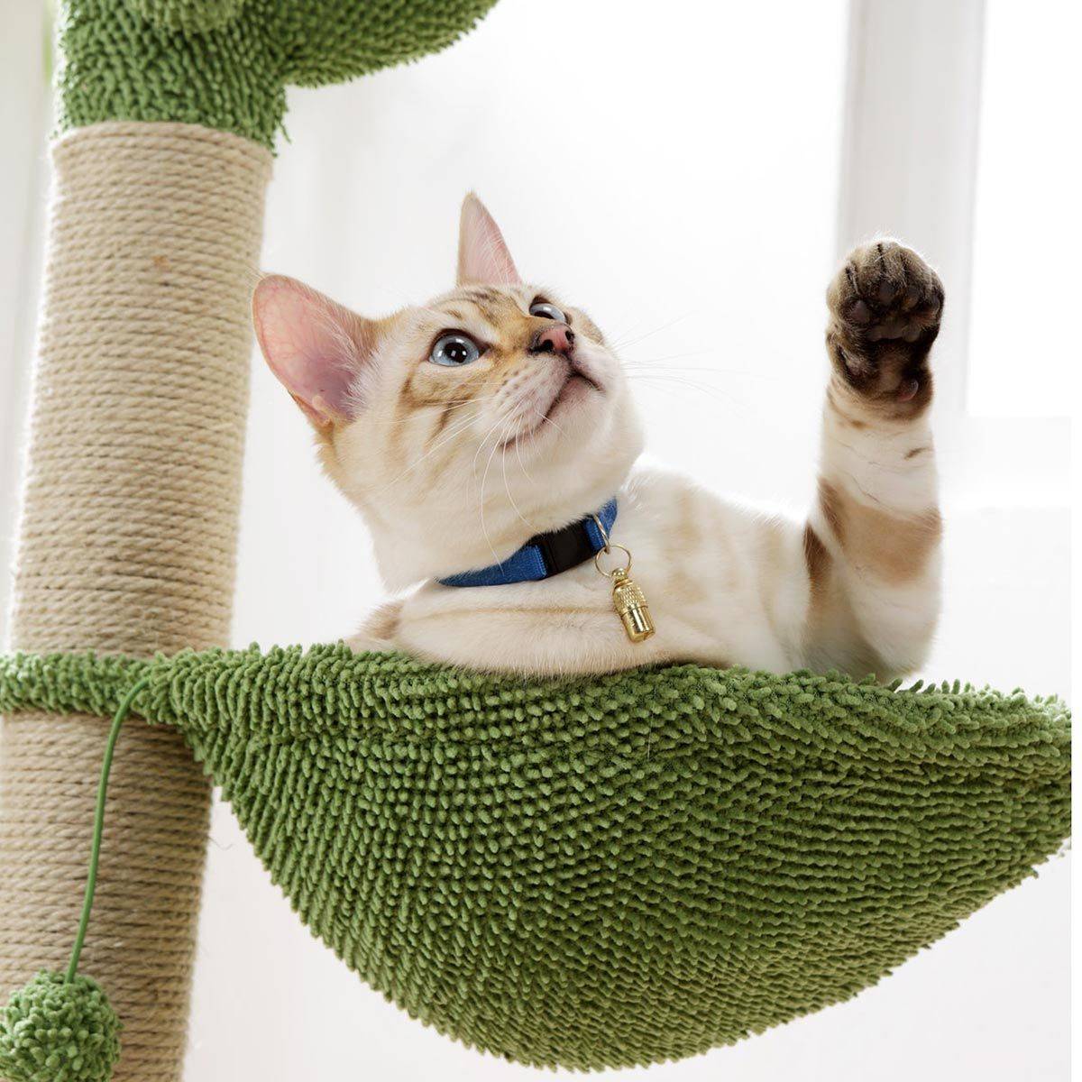 Love Story - Arbre à Chat Cactus "Jouet & Hamac" 96cm Vert - Image 2