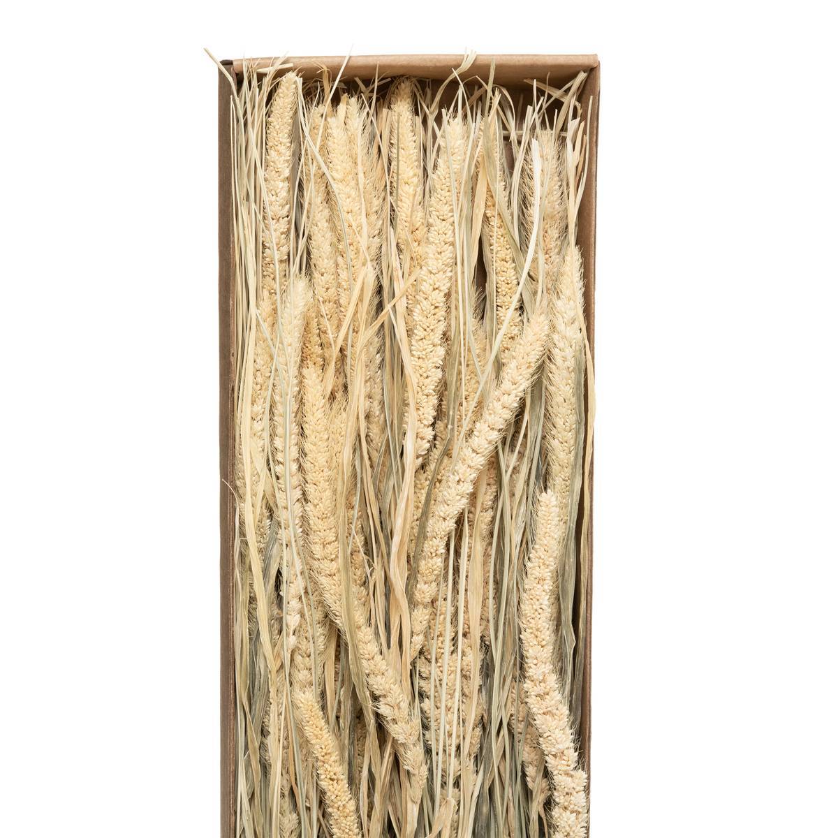 Atmosphera - Bouquet fleurs séchées boîte kraft H60cm - Atmosphera Créateur d'intérieur - Image 4