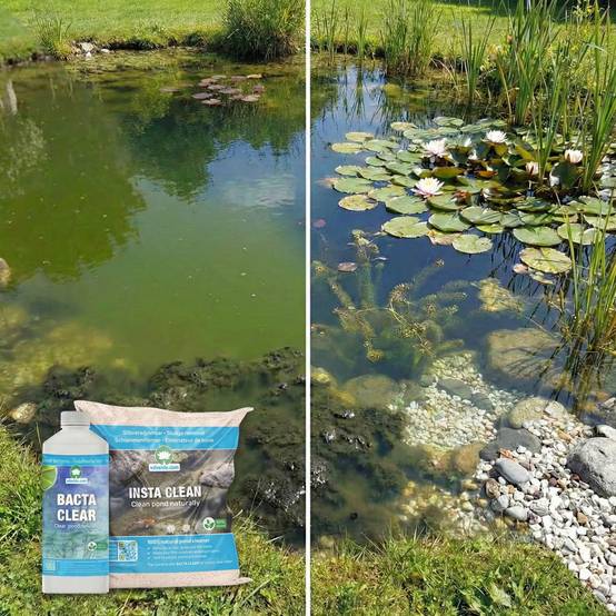 0 - Pond Care - Set d'Entretien jusqu'à 20.000L - Algues Vase et Turbidité - Image 3