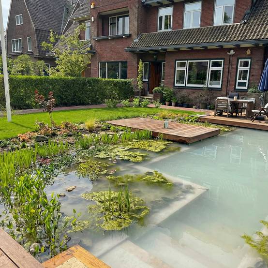 0 - Pond Care - Set d'Entretien jusqu'à 20.000L - Algues Vase et Turbidité - Image 4