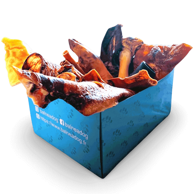 Box de Friandises Naturelles | L'indestructible - Image 1