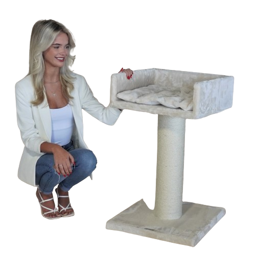 Rhr Concepts Bv - Arbre à chat Ragdoll Lounge (beige) - RHR Concepts B.V - Image 1