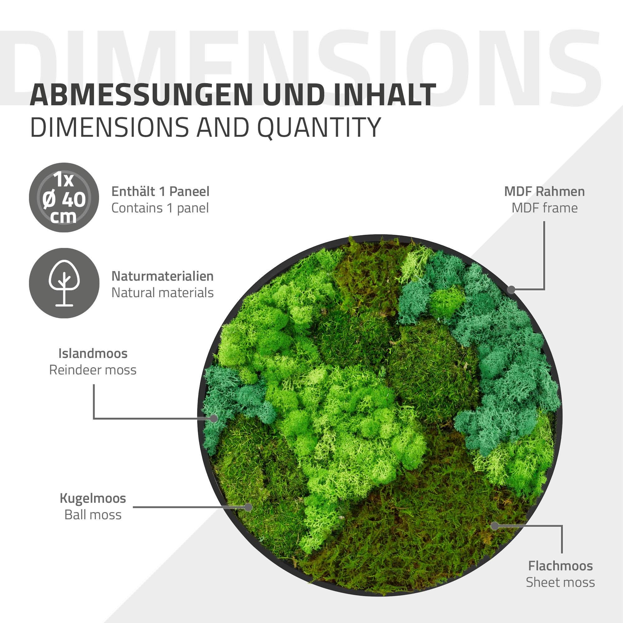 Ecd-Germany - Tableau végétal mural, mélange de mousses stabilisées, cadre en MDF rond Ø 40 cm, vert, décoration d'intérieur effet 3D, sans entretien, pièce unique - Image 7