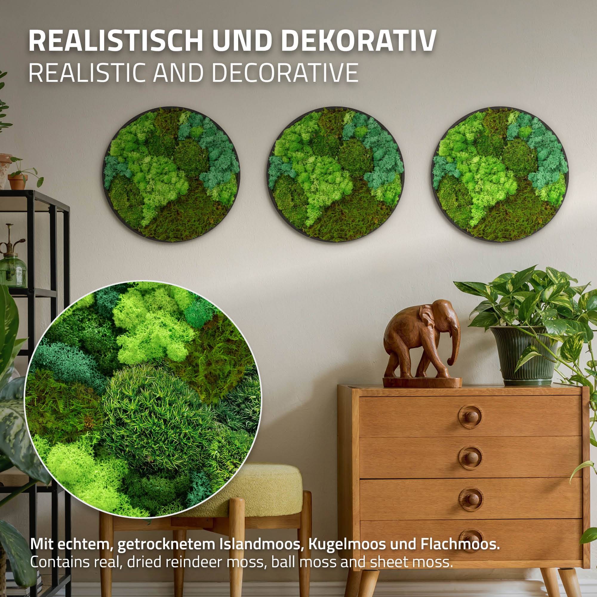 Ecd-Germany - Tableau végétal mural, mélange de mousses stabilisées, cadre en MDF rond Ø 40 cm, vert, décoration d'intérieur effet 3D, sans entretien, pièce unique - Image 3