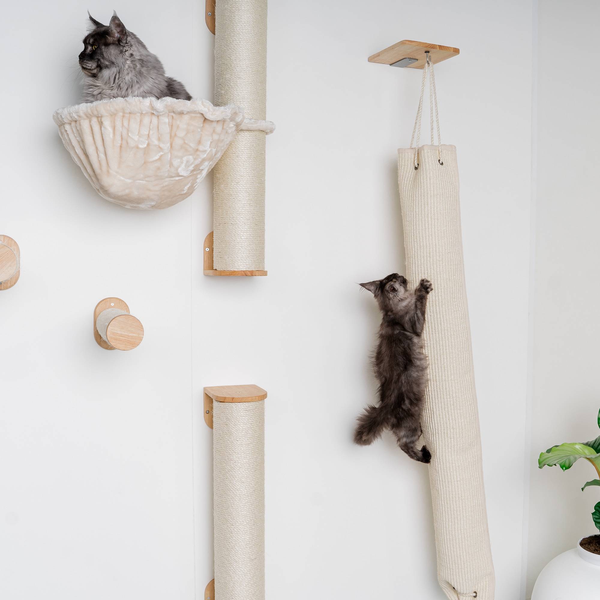 Rhr Concepts Bv - Mur d’escalade pour chat - Sac à grimper (beige) - RHR Concepts BV - Image 2