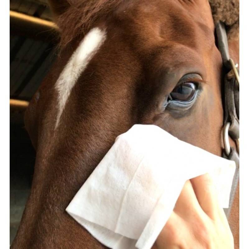 Laboratoire Ravene - Easy Shine Wipe - Ravene RAVENE - Image 2