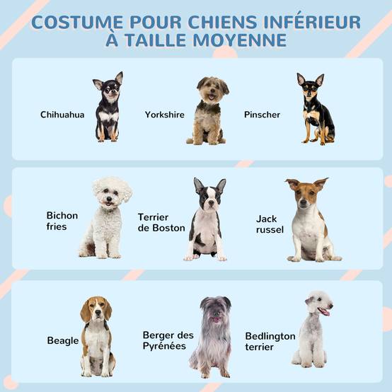 Niche extérieure plastique PP pour chien moyen toit double pente 65x75x63cm blanc - ComfortXL Outdoor Living - Image 9