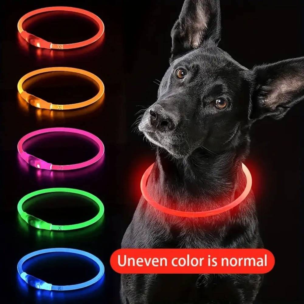IntiMeg - Lampe LED USB pour collier de chien IntiMeg - Image 5