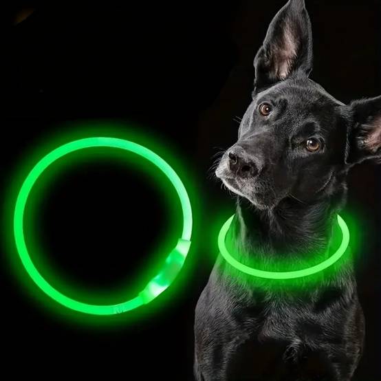 IntiMeg - Lampe LED USB pour collier de chien IntiMeg - Image 1