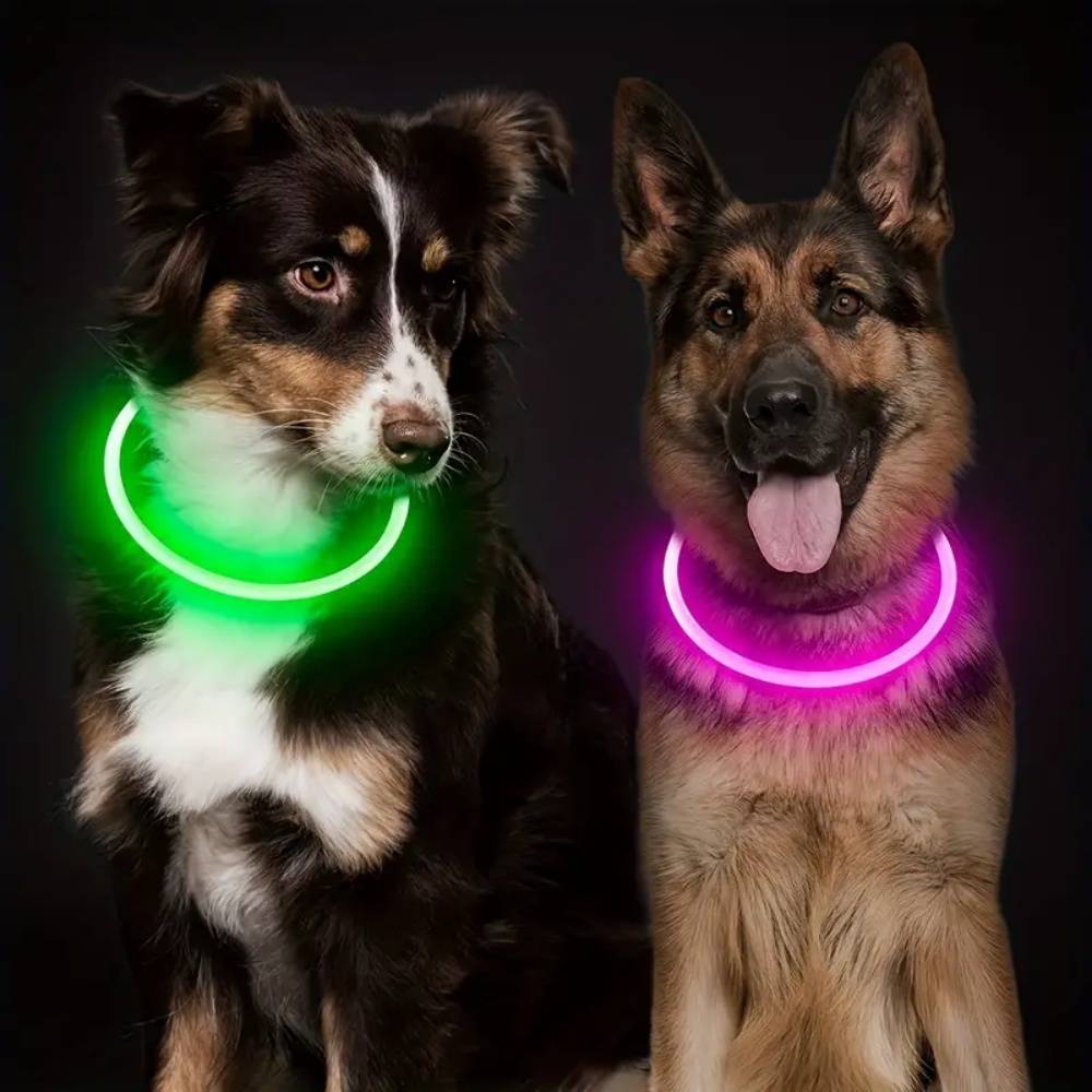 IntiMeg - Lampe LED USB pour collier de chien IntiMeg - Image 4
