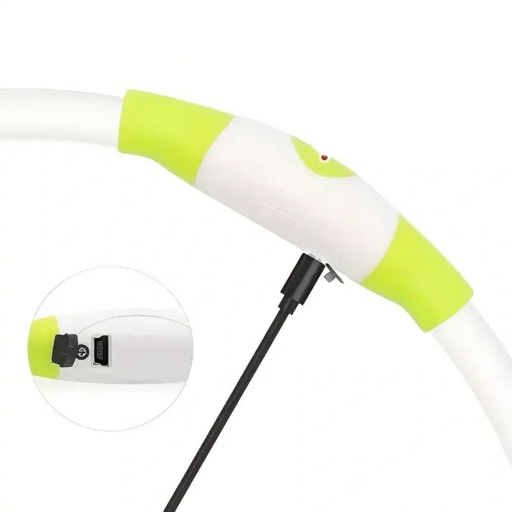 IntiMeg - Lampe LED USB pour collier de chien IntiMeg - Image 3