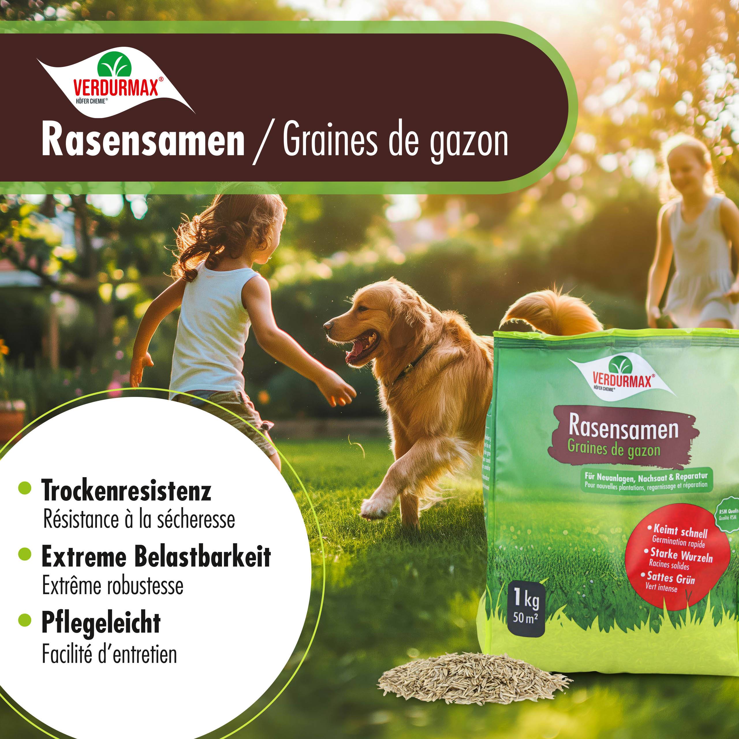 5 kg VERDURMAX® Semences de gazon x 4 - Image 6