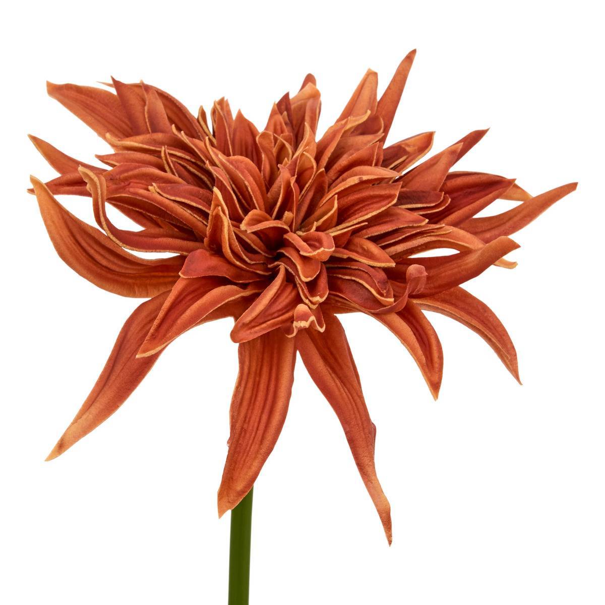 Atmosphera - Tige décorative Homy H.55cm - Atmosphera Créateur d'intérieur - Image 3
