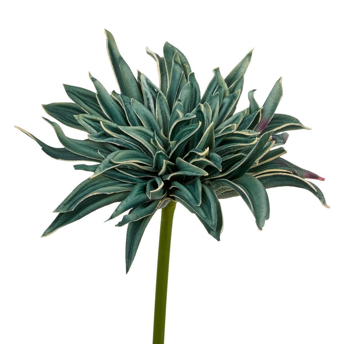 Atmosphera - Tige décorative Homy H.55cm - Atmosphera Créateur d'intérieur - Image 1
