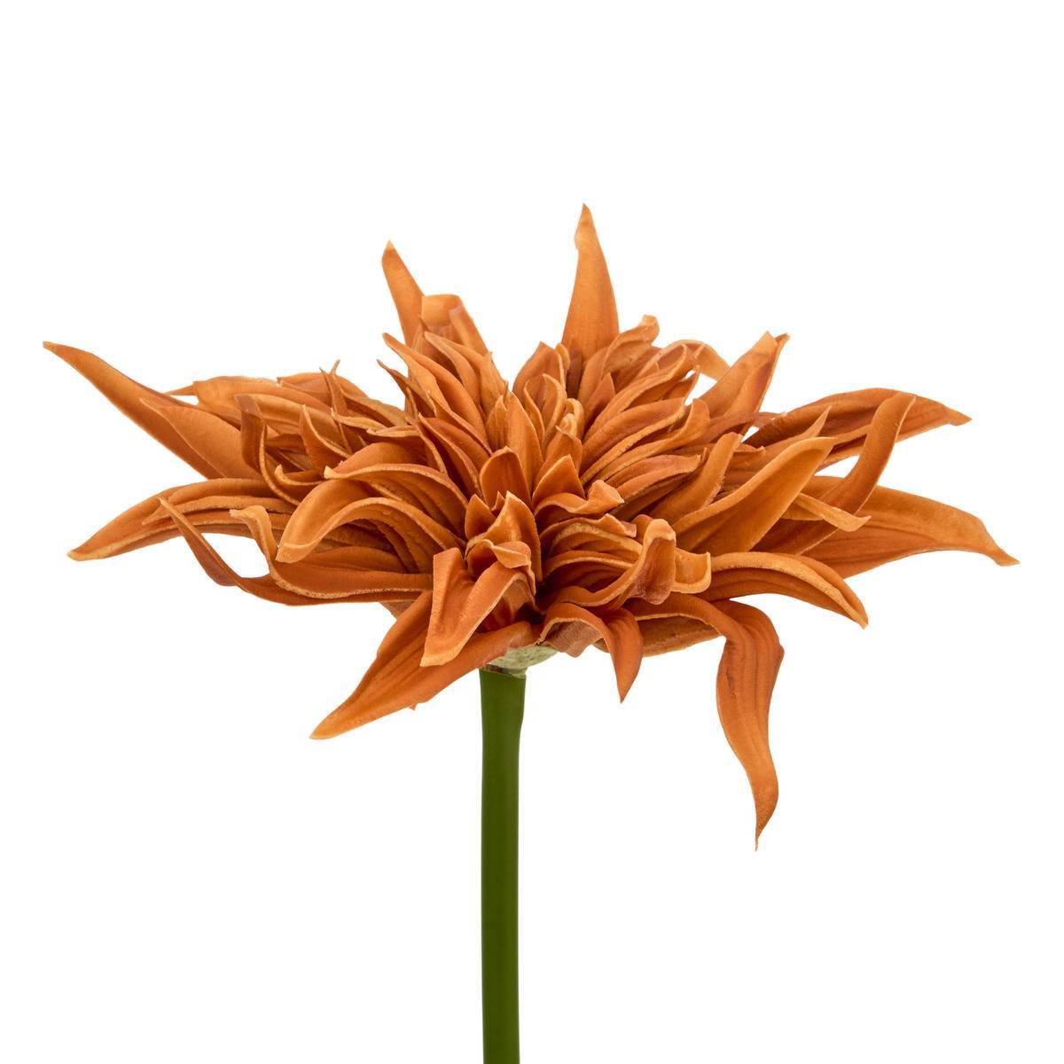 Atmosphera - Tige décorative Homy H.55cm - Atmosphera Créateur d'intérieur - Image 4