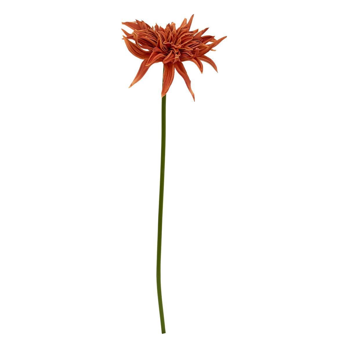 Atmosphera - Tige décorative Homy H.55cm - Atmosphera Créateur d'intérieur - Image 2