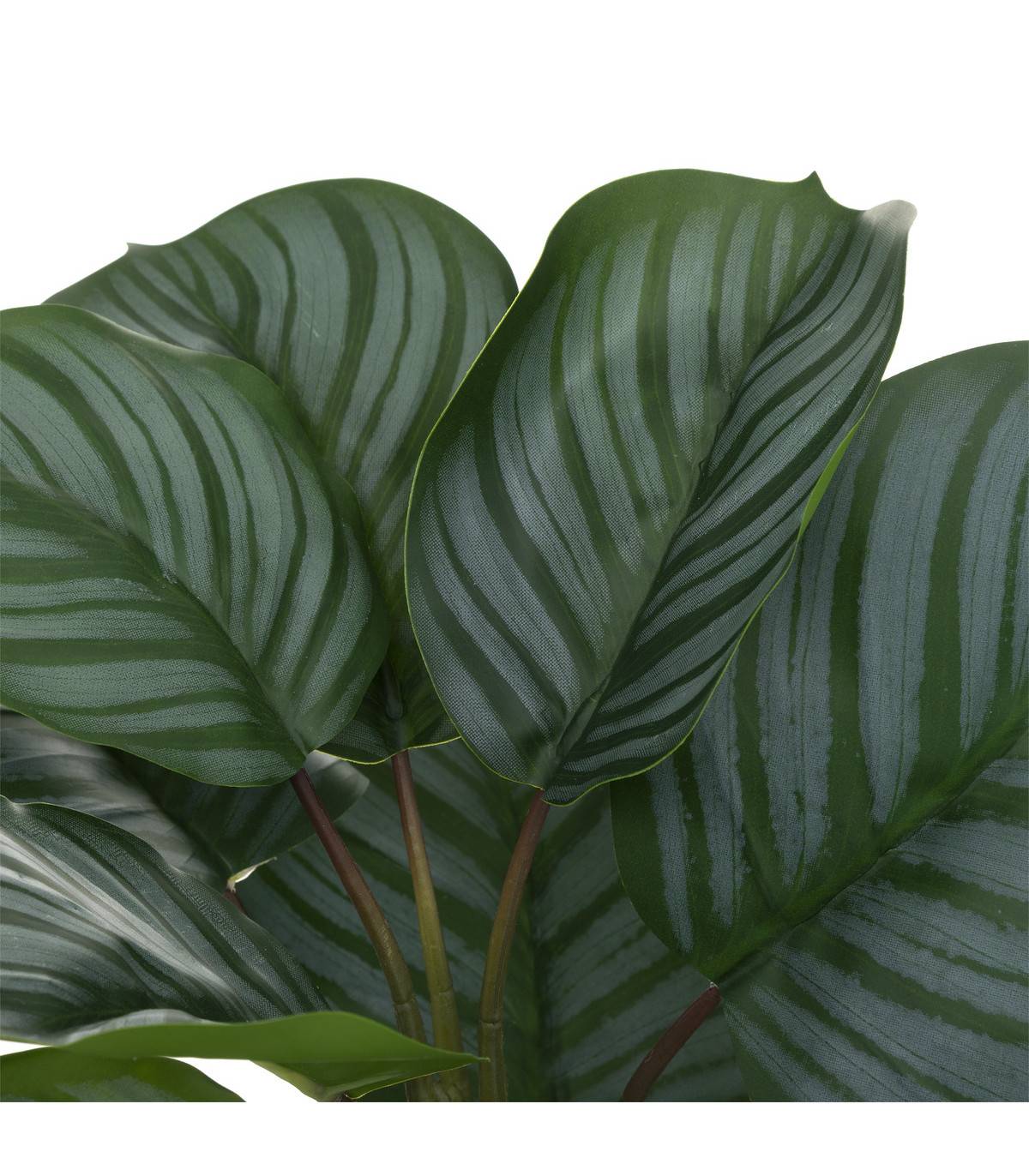 Plante artificielle Maranta en pot H 45 cm - Image 2