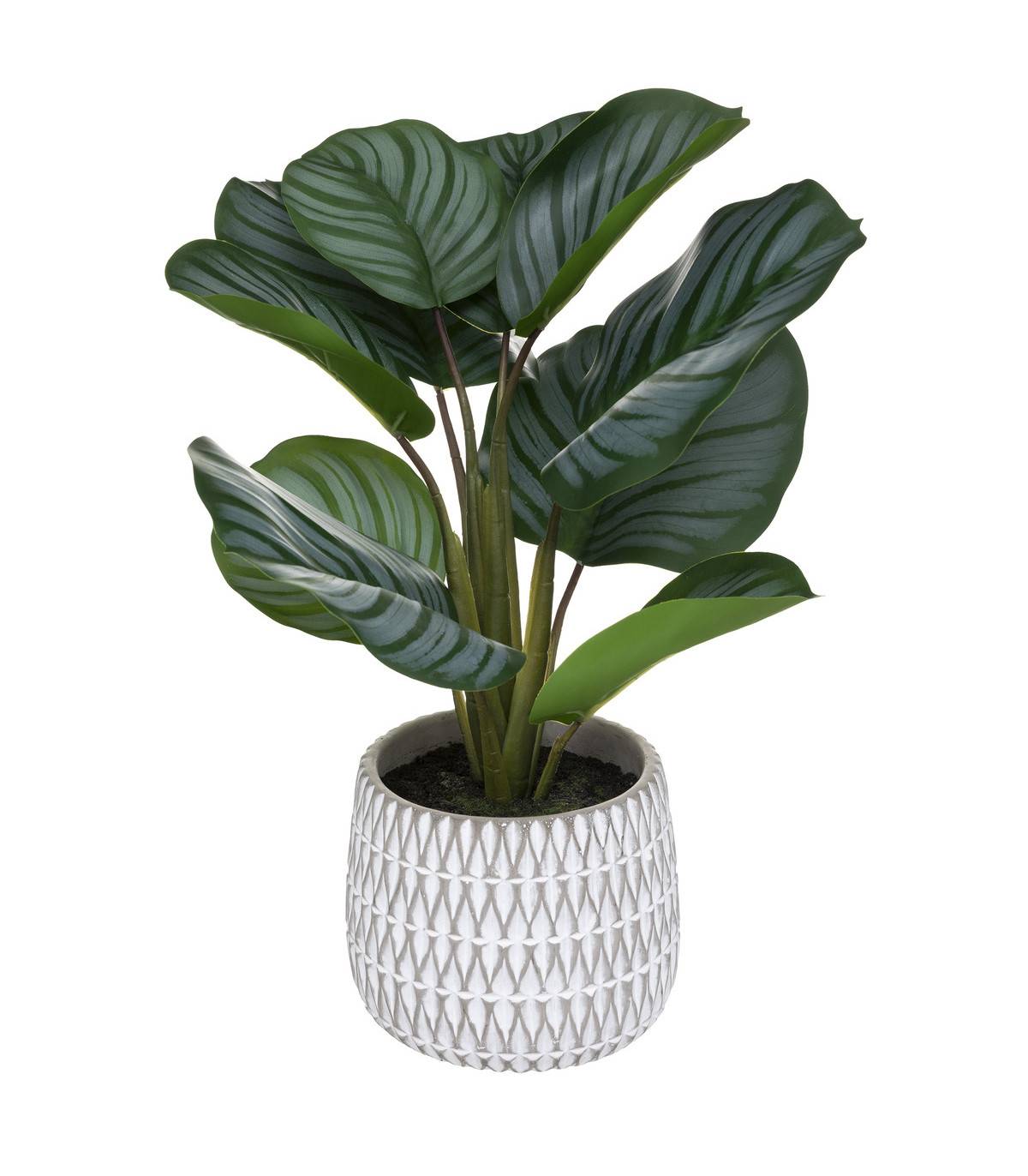 Plante artificielle Maranta en pot H 45 cm - Image 1