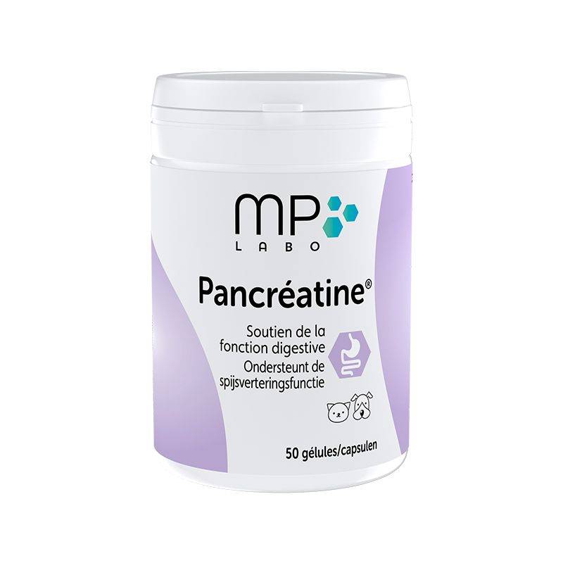 PANCREATINE - MP LABO 50 gelules - Image 1