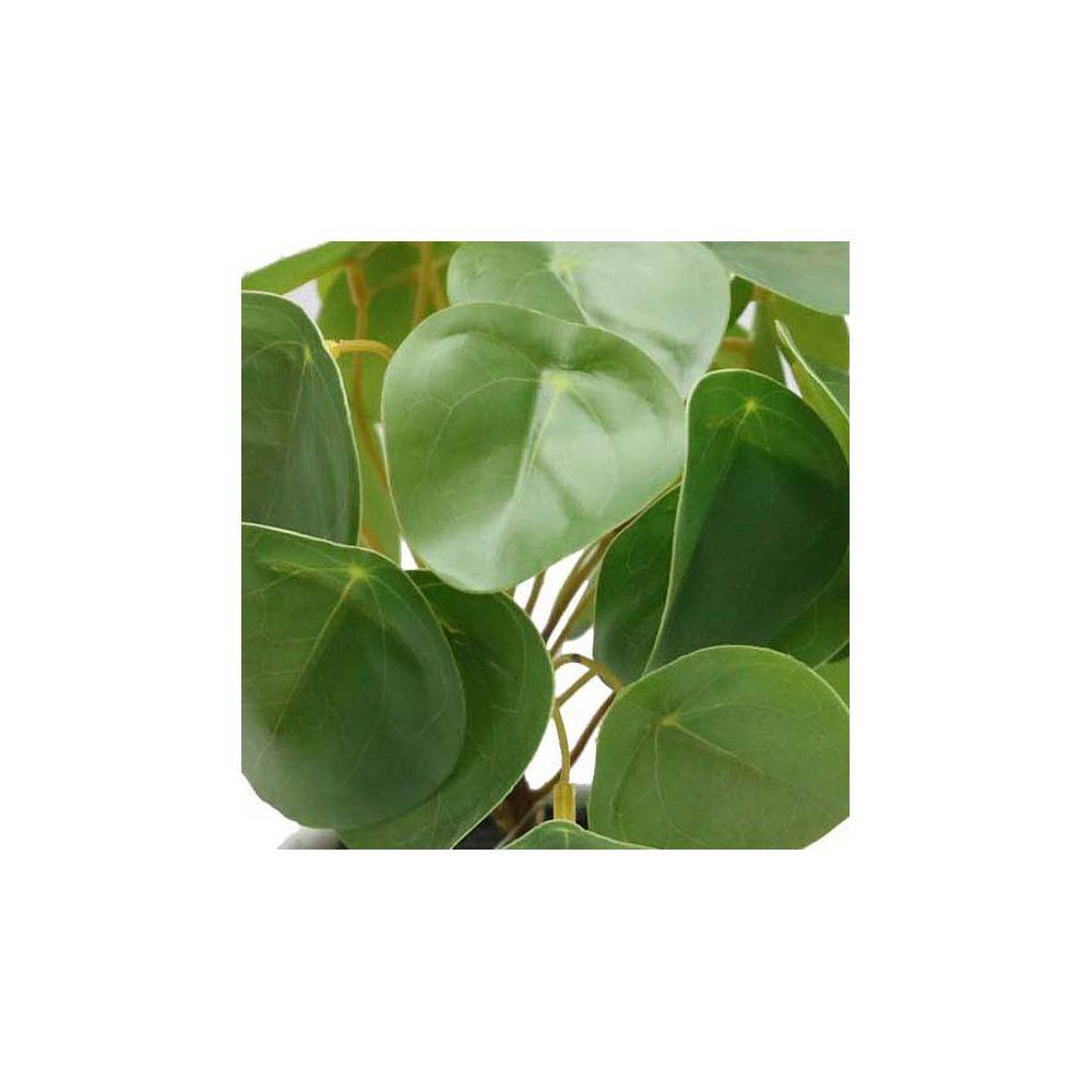 Jardindeco - Pilea artificiel toucher naturel pot céramique - Image 2