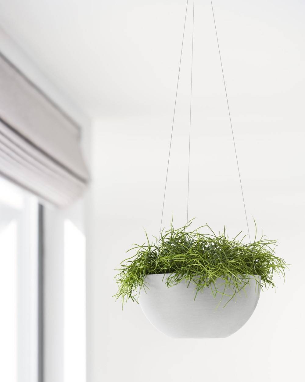 Ecopots - Pot supsendu Brussels 27 Blanc Gris - Ø 26,5 x H. 13 cm - 4,2 L ECOPOTS - Image 5