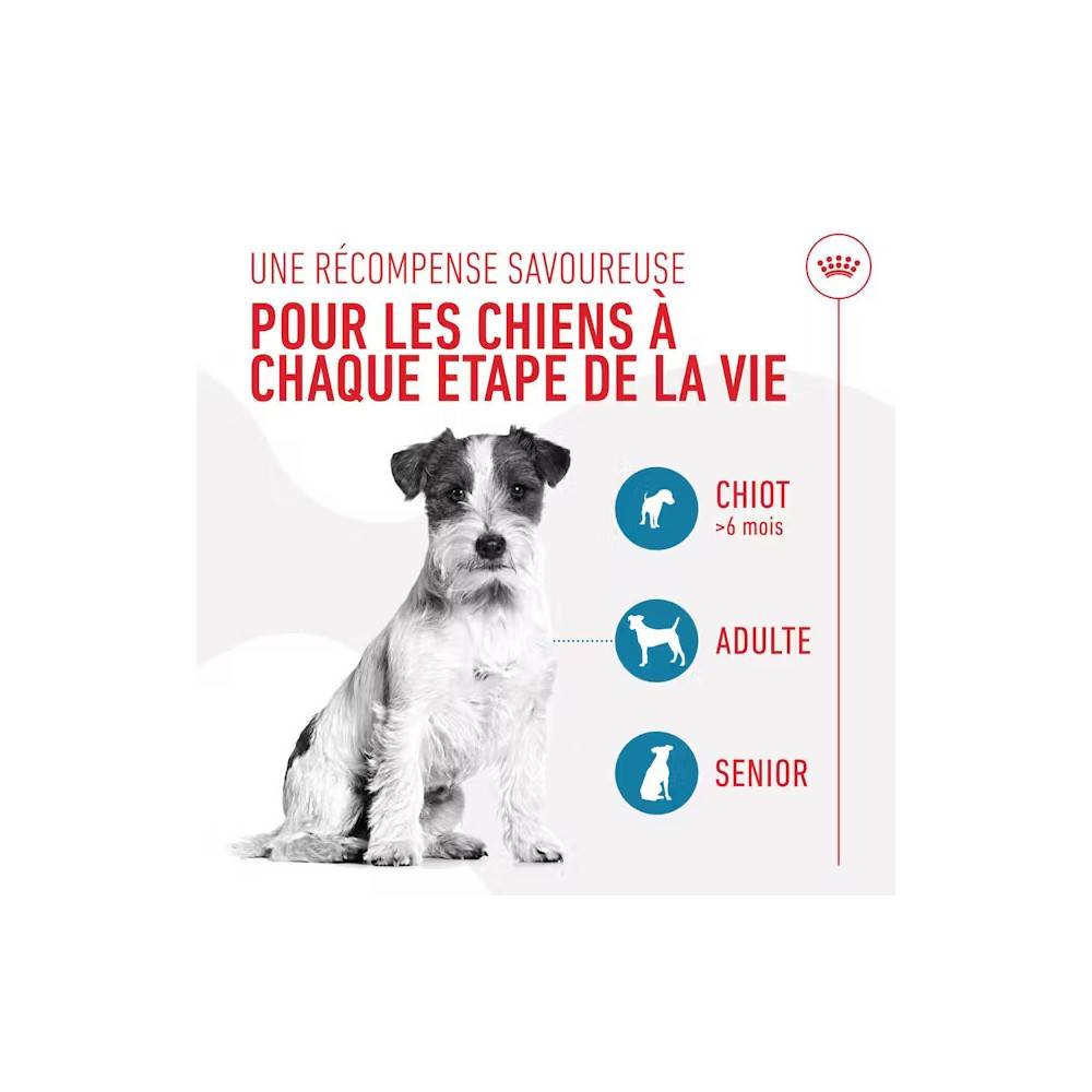 Royal Canin - Royal Canin Chien Training Friandises 110 g - Image 4