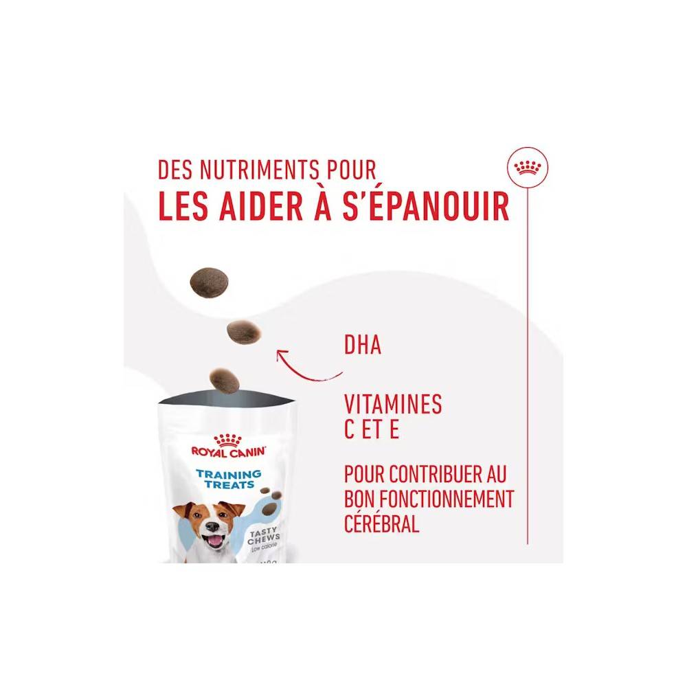 Royal Canin - Royal Canin Chien Training Friandises 110 g - Image 3