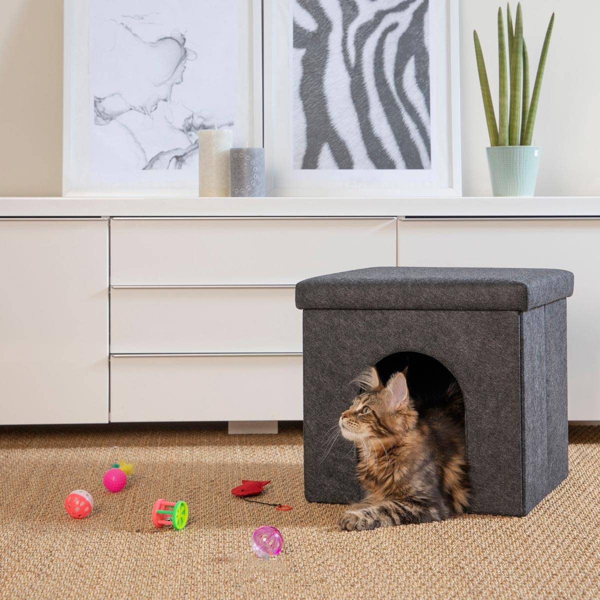 Love Story - Lot de 6 Jouets pour Chat "Cadeaux" Multicolore - Image 2