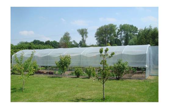 Serre de jardin - 48m² - 4 x 12m - pied droit 1,50m - polyéthylène haute densité - 1 porte pivotante - aérations latérales - LES SERRES TONNEAU - Image 2