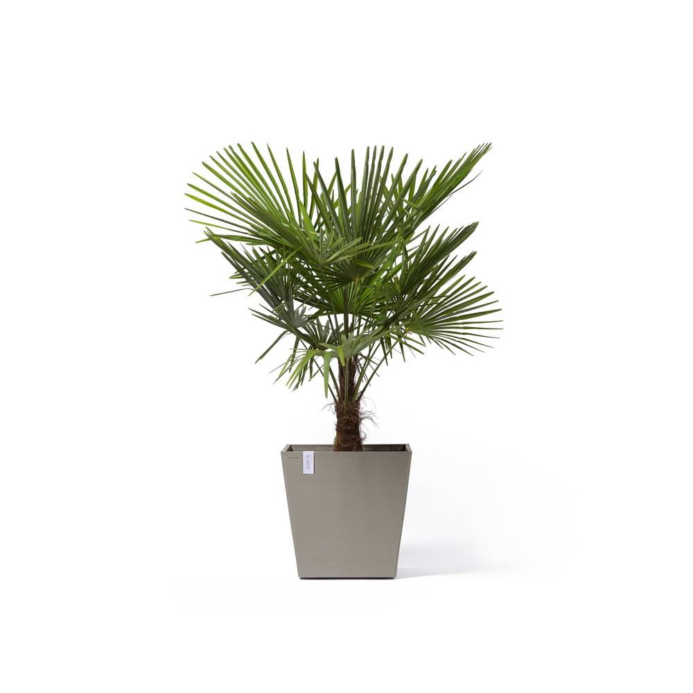 Ecopots - Grand pot sur roues Rotterdam 50 Taupe - 50 x 50 x H. 49,2 cm - 76,3 L ECOPOTS - Image 2