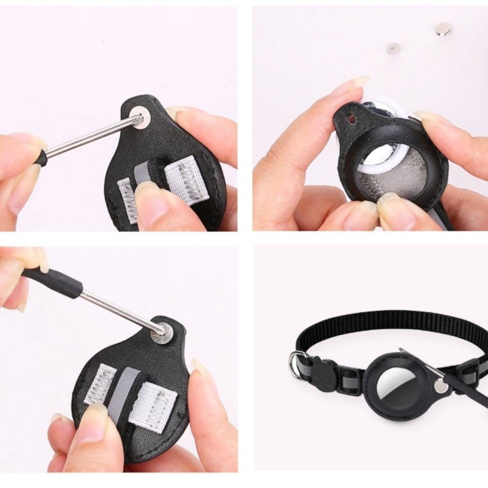 IntiMeg - Collier réfléchissant pour chat IntiMeg - Image 5