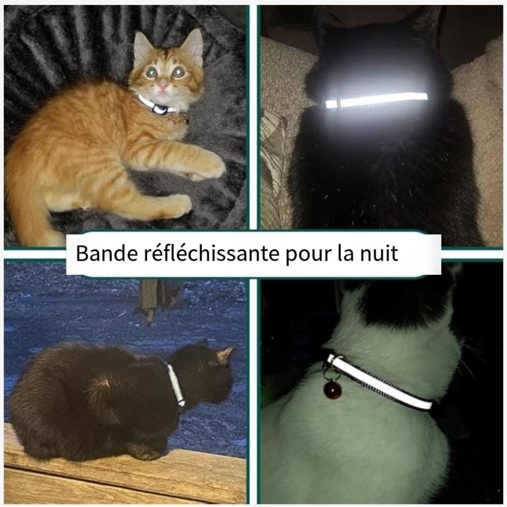 IntiMeg - Collier réfléchissant pour chat IntiMeg - Image 4