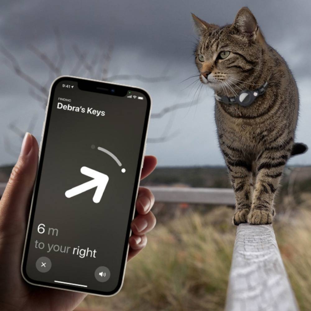 IntiMeg - Collier réfléchissant pour chat IntiMeg - Image 3
