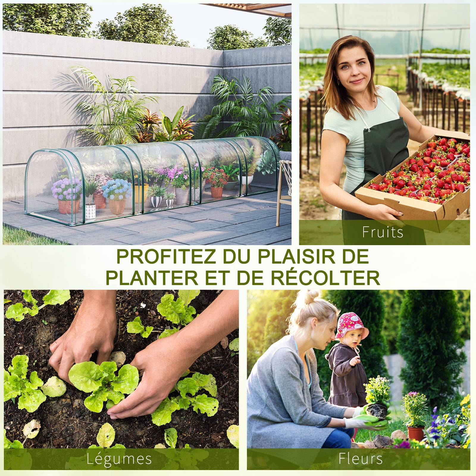 Mini Serre de Jardin Serre à tomates 4L x 1l x 0,80H m Acier PVC Anti-UV 4 fenêtres Zip enroulables Vert et Transparent - Image 6
