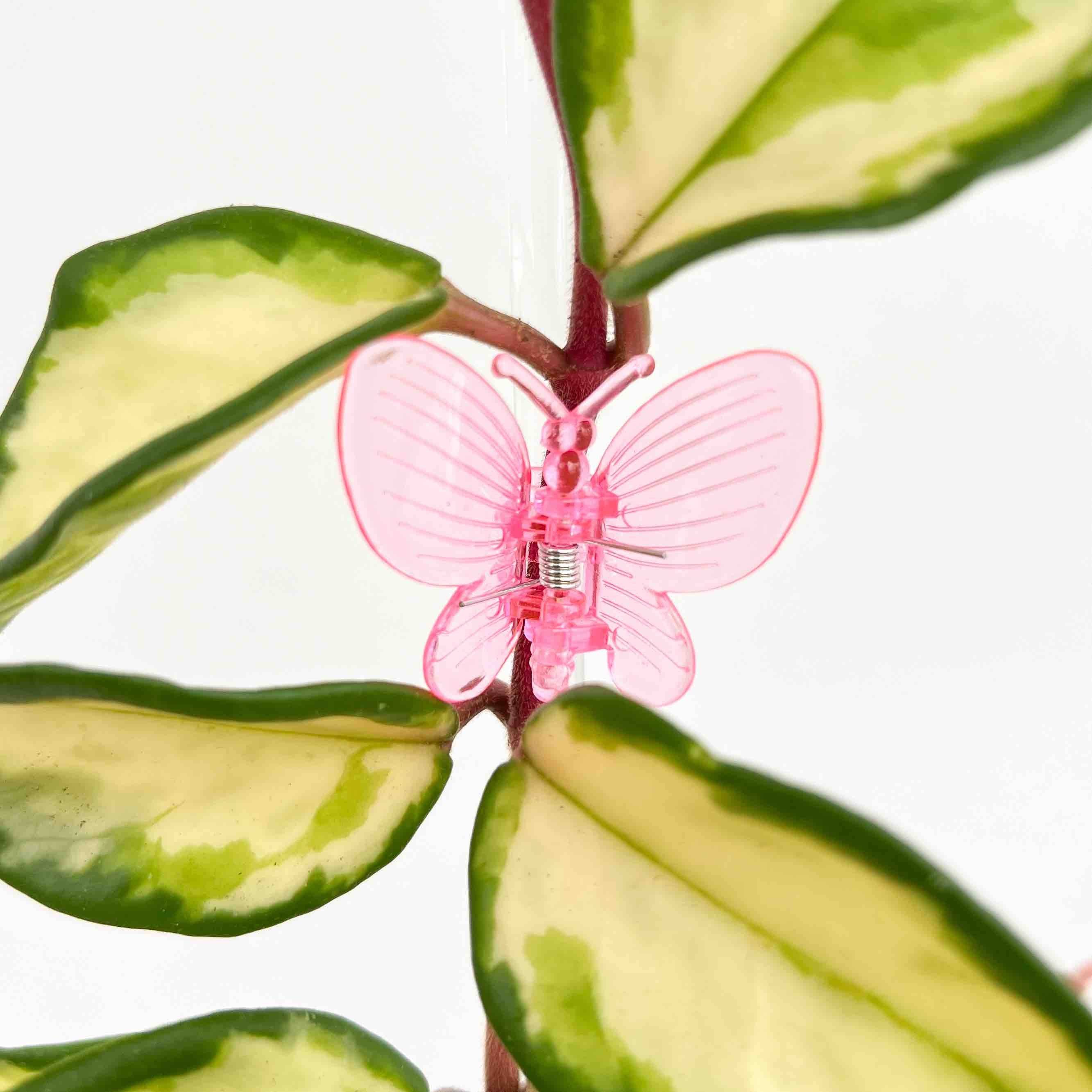 Pinces Papillon pour plante X10 - Pince tuteurage Papillon - Clips de support - Pinces de support pour plantes - Rose - Image 1